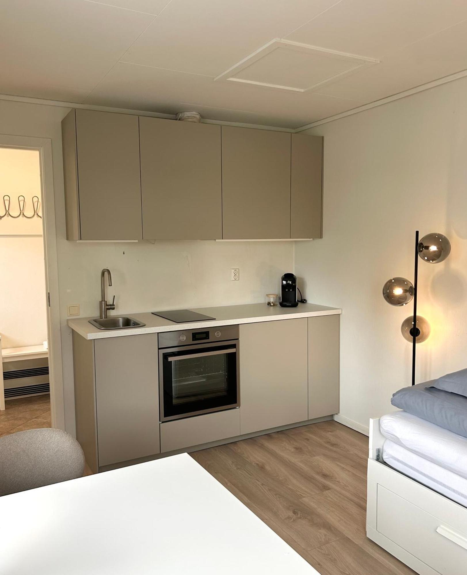 Newly Renovated Studio Apartment - Free Parking And Ev Docking Trondheim Exterior photo